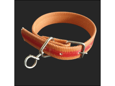 대형견 애견 개줄 소 목줄 밸트삼각목줄 목걸이 30mm